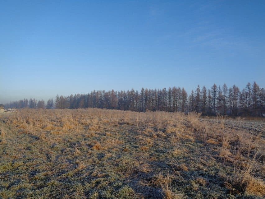 udział w wysokości 1/2 w nieruchomości gruntowej – zdjęcie 2 z 16