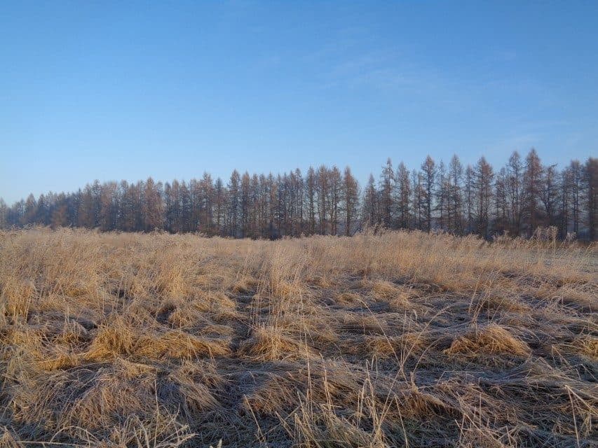 udział w wysokości 1/2 w nieruchomości gruntowej – zdjęcie 4 z 16