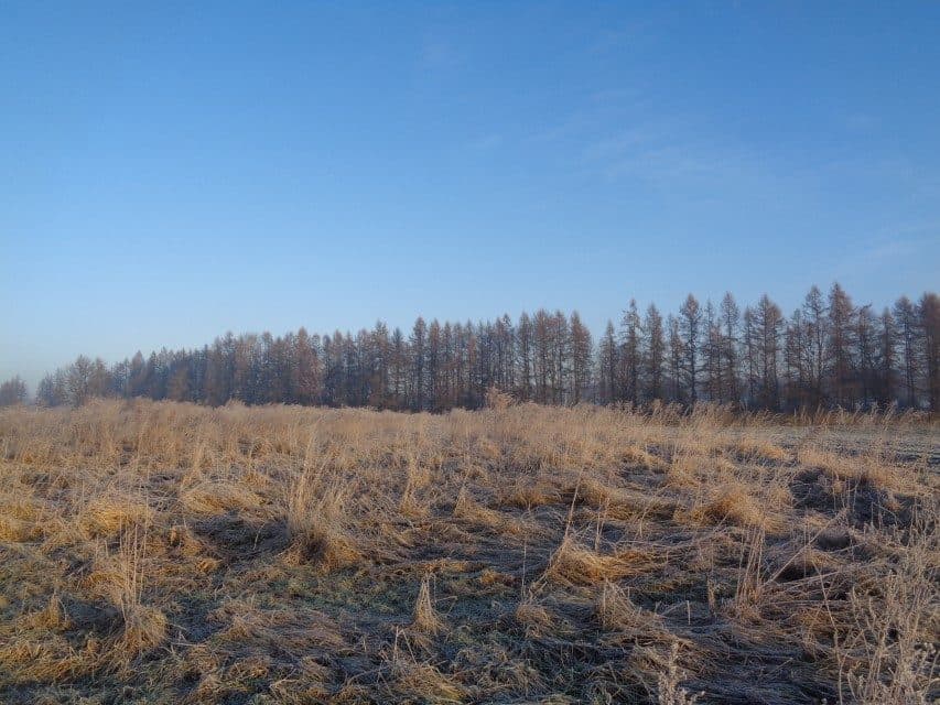 udział w wysokości 1/2 w nieruchomości gruntowej – zdjęcie 5 z 16