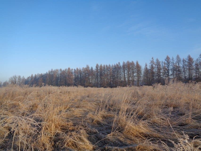 udział w wysokości 1/2 w nieruchomości gruntowej – zdjęcie 6 z 16
