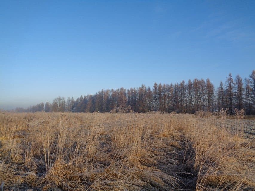 udział w wysokości 1/2 w nieruchomości gruntowej – zdjęcie 8 z 16