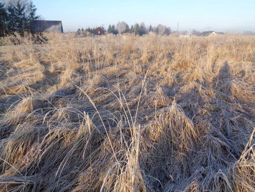 udział w wysokości 1/2 w nieruchomości gruntowej – zdjęcie 9 z 16