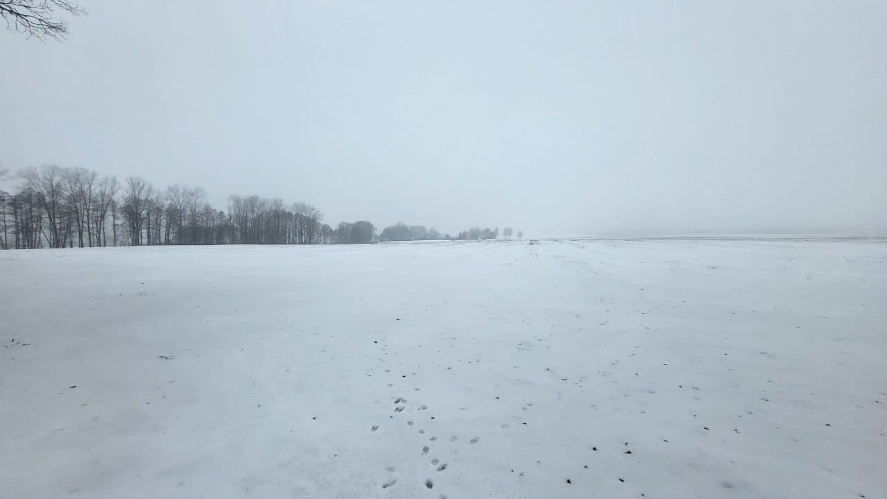 Nieruchomość gruntowa niezabudowana