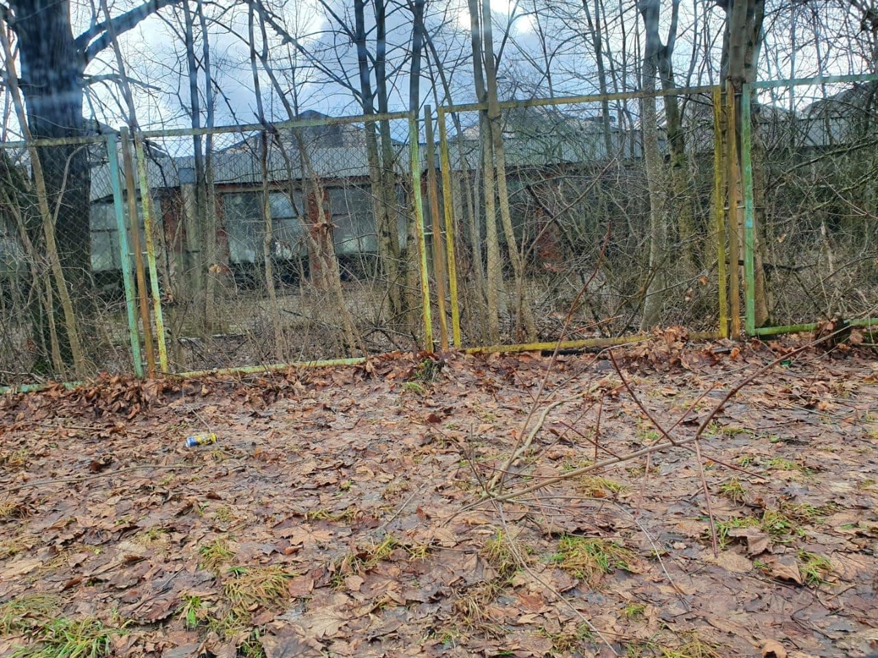 hale dziłaki nr 2096/11, 2096/12, 2096/13, 2096/14, 2096/15, 2097/3,2097/4 – zdjęcie 2 z 9