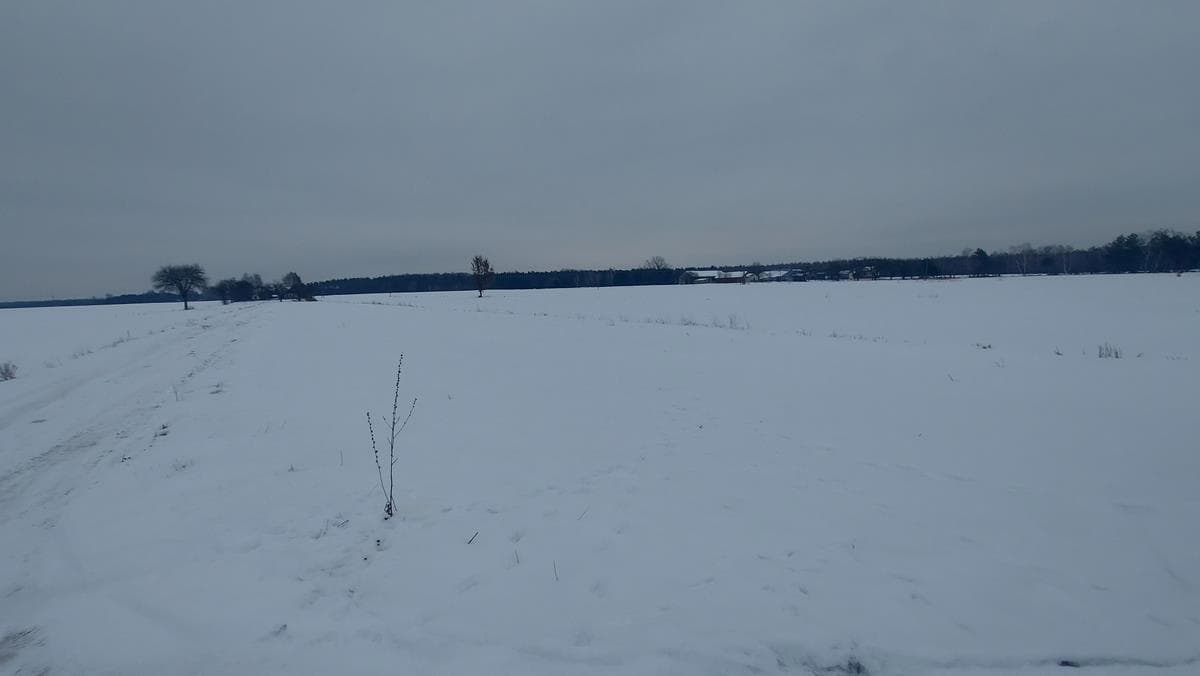 Nieruchomość gruntowa - działka nr 27
