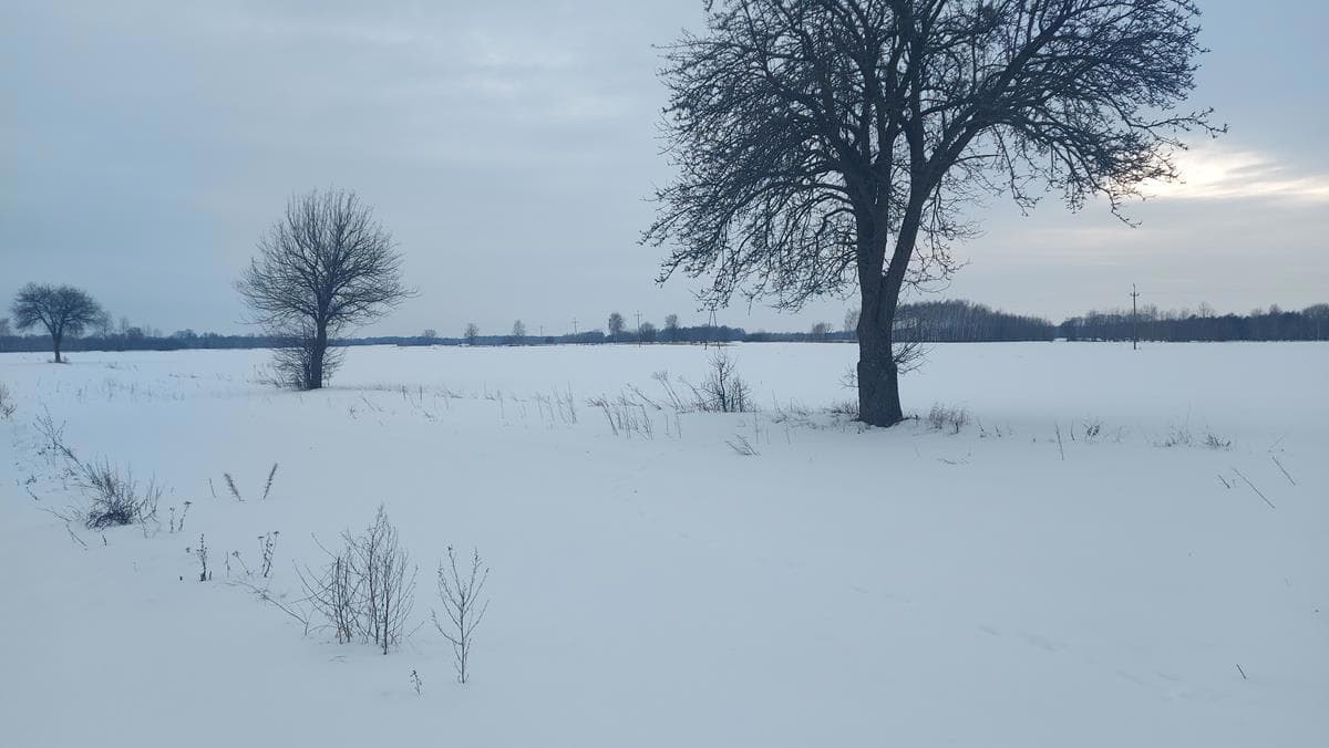 Nieruchomość gruntowa - działka nr 994/2