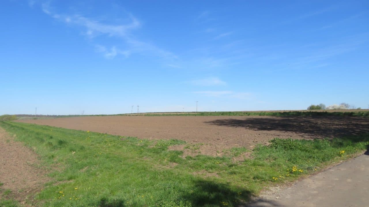 Działka nr 130 obręb Cząstkowice