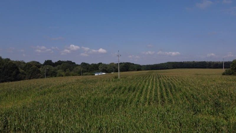 Nieruchomość gruntowa o pow. 13.9599 ha składająca się z działki nr 253/7 oraz 180/7 wraz z budynkiem magazynowym położona w Adamowicach przy ul. Rybnickiej – zdjęcie 2 z 11