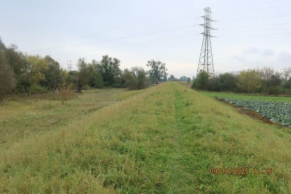 Nieruchomość składająca się z działek o nr: 149, 150, 151, 153, 154 o łącznej powierzchni 2,5692 ha, położona w miejscowości Świerże Górne, gm. Kozienice