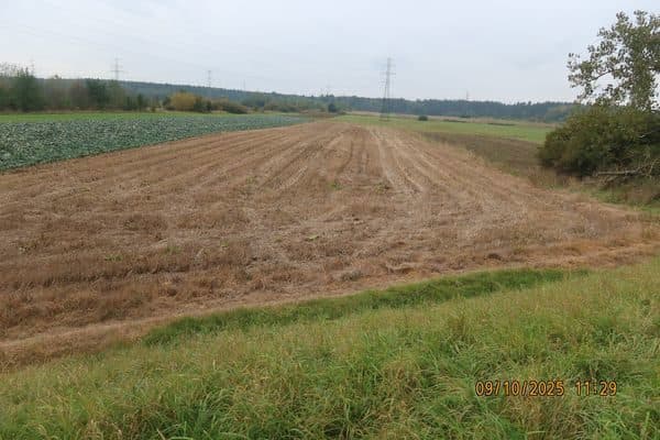 Nieruchomość składająca się z działek o nr: 149, 150, 151, 153, 154 o łącznej powierzchni 2,5692 ha, położona w miejscowości Świerże Górne, gm. Kozienice – zdjęcie 3 z 3