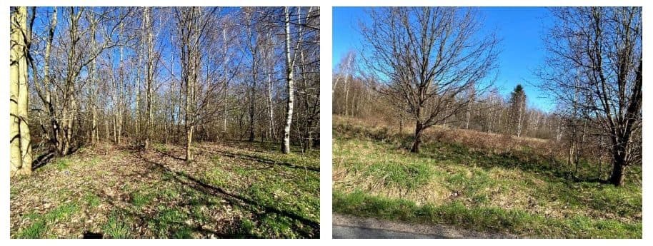 działki w Małej Kamienicy - 6,7465 ha – zdjęcie 2 z 5