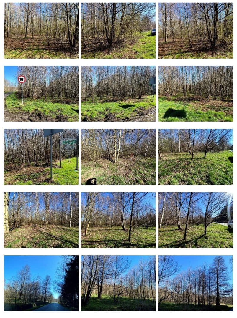 działki w Małej Kamienicy - 6,7465 ha – zdjęcie 3 z 5