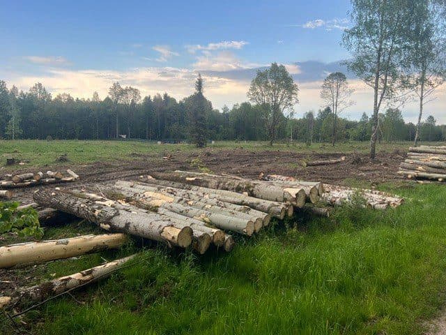 działki w Małej Kamienicy - 6,7465 ha – zdjęcie 4 z 5