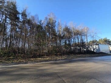 Działka ewidencyjna numer 163/15 (las) w użytkowaniu wieczystym położona w Starachowickiej Specjalnej Strefie Ekonomicznej