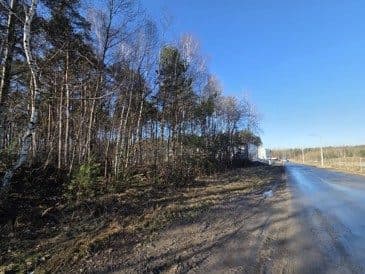 Działka ewidencyjna numer 163/15 (las) w użytkowaniu wieczystym położona w Starachowickiej Specjalnej Strefie Ekonomicznej – zdjęcie 4 z 11