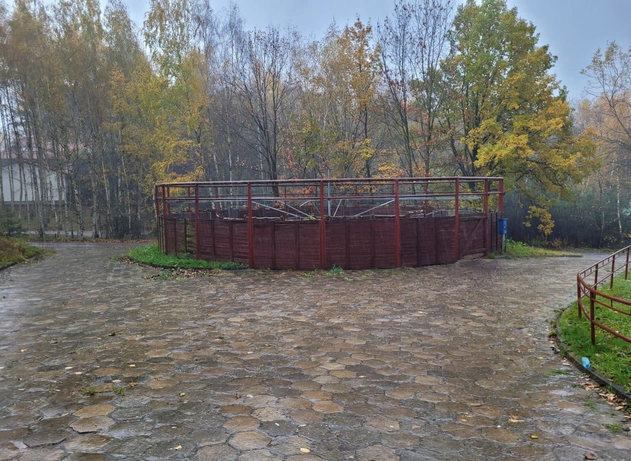 Kompleks nieruchomości położonych w miejscowości Rogów przy ul. Leśnej nr KW GL1W/00036078/0 oraz GL1W/00010178/2. – zdjęcie 14 z 17