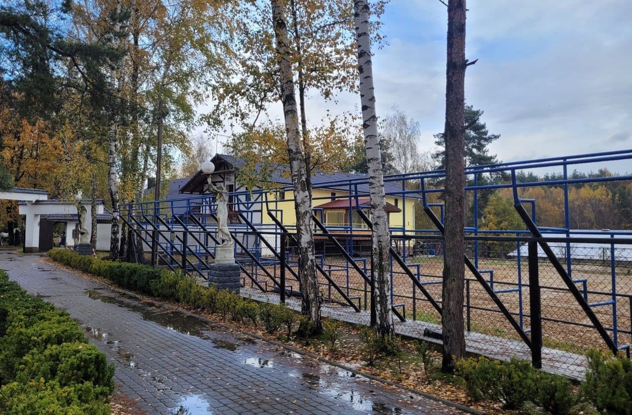 Kompleks nieruchomości położonych w miejscowości Rogów przy ul. Leśnej nr KW GL1W/00036078/0 oraz GL1W/00010178/2. – zdjęcie 17 z 17
