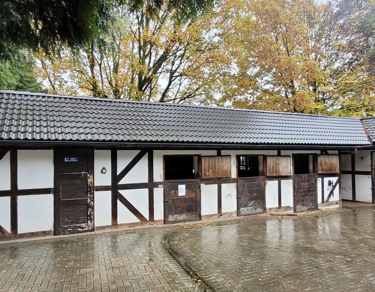 Kompleks nieruchomości położonych w miejscowości Rogów przy ul. Leśnej nr KW GL1W/00036078/0 oraz GL1W/00010178/2. – zdjęcie 2 z 17
