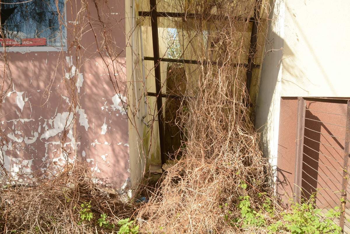 Grunt oddany w użytkowanie wieczyste i budynek stanowiący odrębną nieruchomość – zdjęcie 3 z 13
