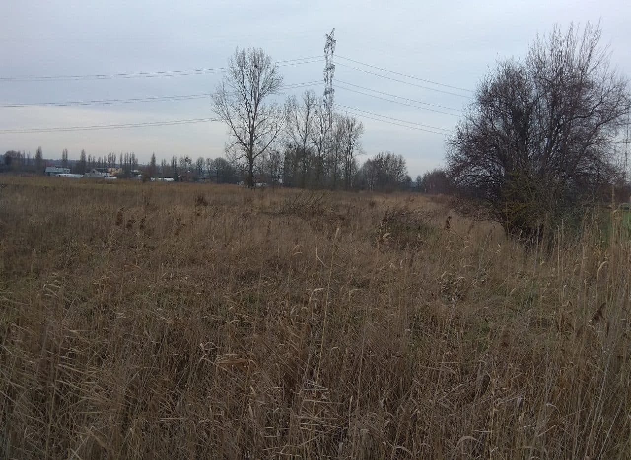 prawo własności niezabudowanej działki nr 30/12 o pow. 24.154 m2