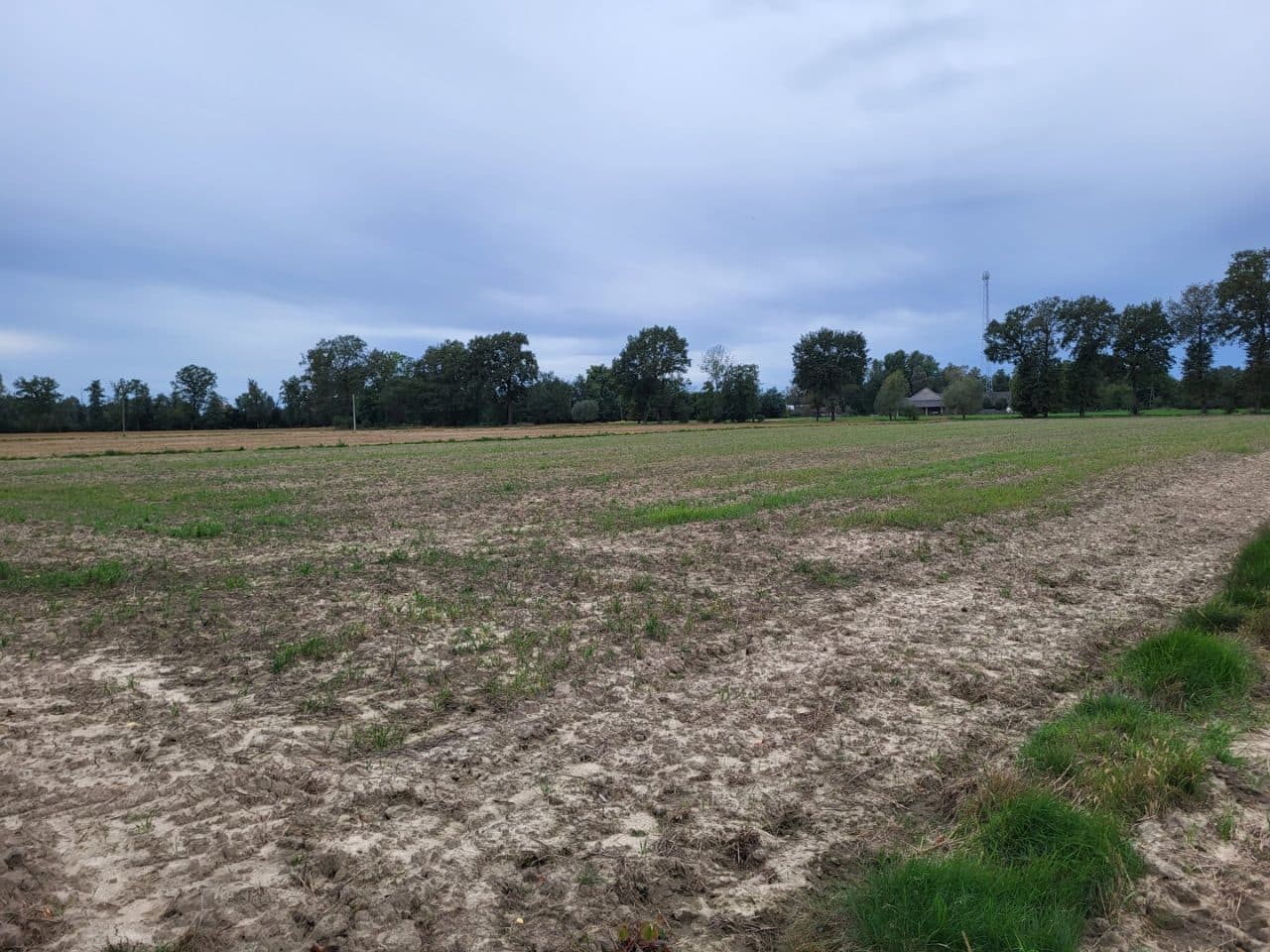 działka nr 426 zabudowana budynkiem mieszkalnym- zamieszkałym i budynkiem gospodarczym – zdjęcie 3 z 4