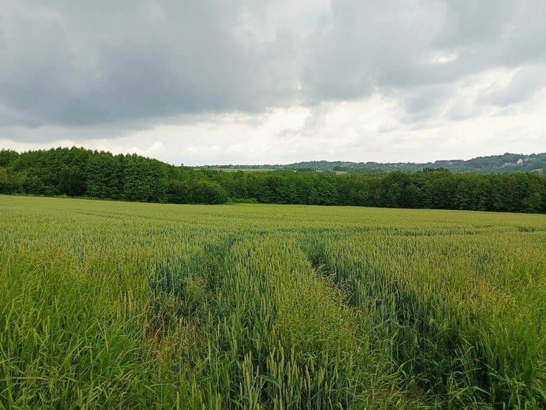 kompleks działek 4
