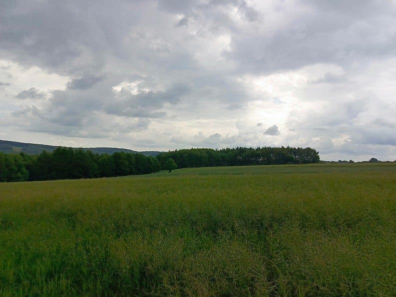 działka nr ewid. 3839