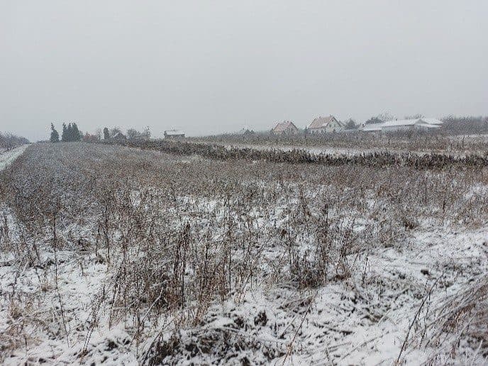 Nieruchomość gruntowa – zdjęcie 6 z 6