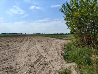 nieruchomość gruntowa niezabudowana, dla której Sąd Rejonowy w Łowiczu V Wydział Ksiąg Wieczystych prowadzi księgę wieczystą o numerze LD1O/00038964 – zdjęcie 5 z 6