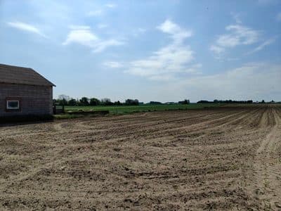 nieruchomość gruntowa niezabudowana, dla której Sąd Rejonowy w Łowiczu V Wydział Ksiąg Wieczystych prowadzi księgę wieczystą o numerze LD1O/00038964 – zdjęcie 6 z 6