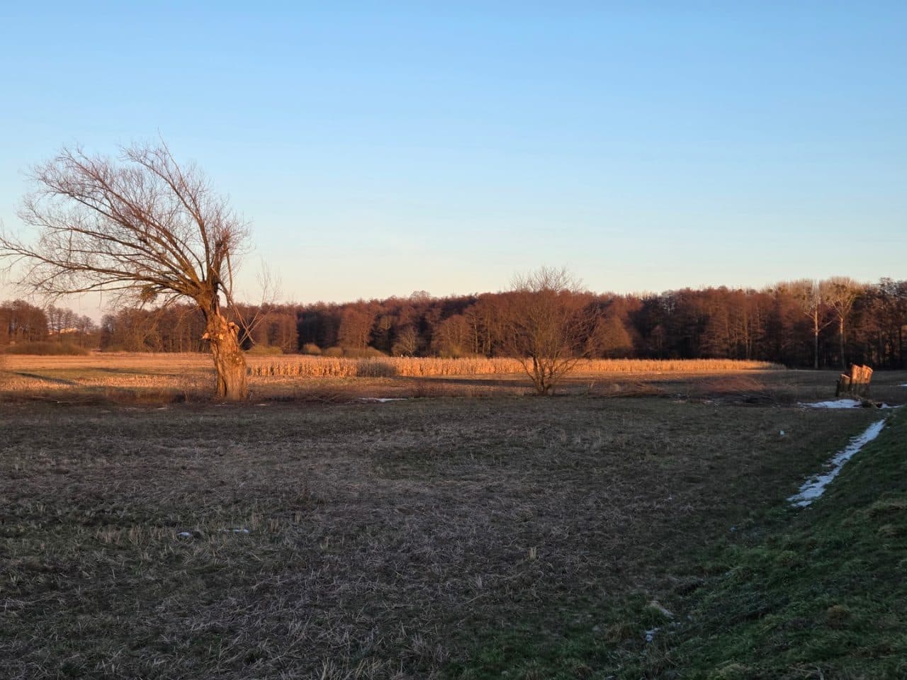 Nieruchomość gruntowa niezabudowana