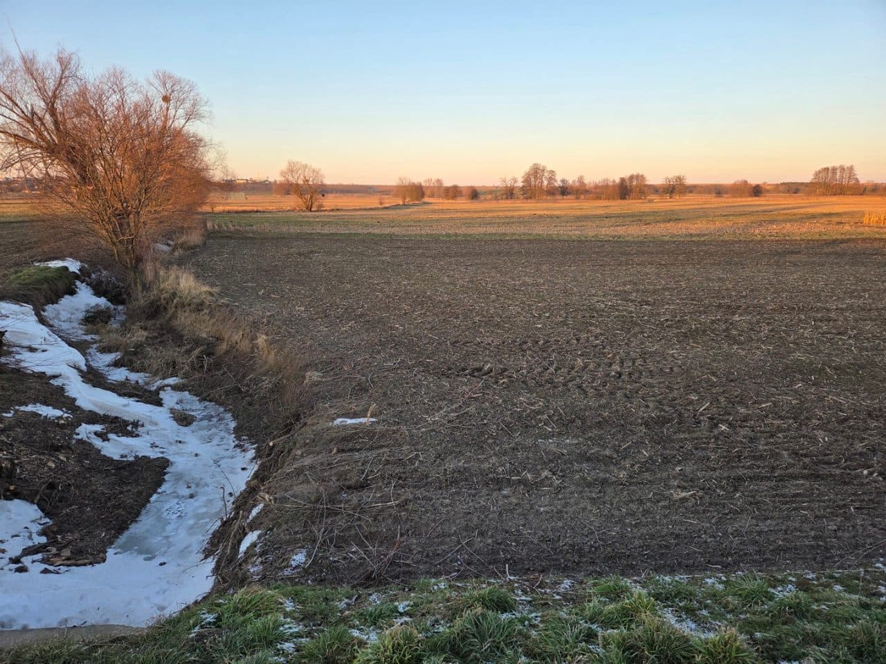 Nieruchomość gruntowa niezabudowana – zdjęcie 5 z 6
