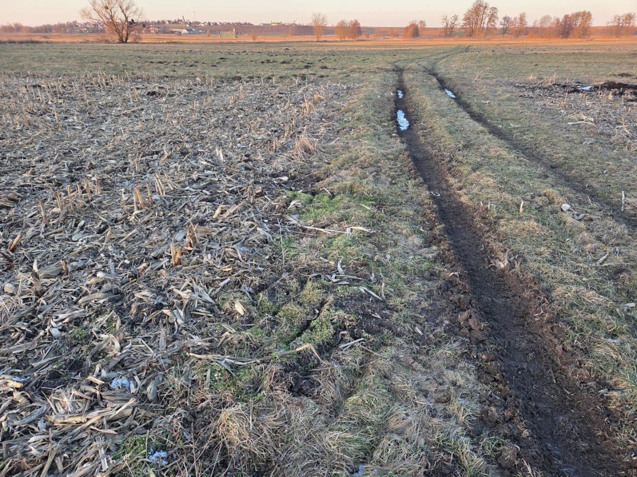 Nieruchomość gruntowa niezabudowana – zdjęcie 6 z 6