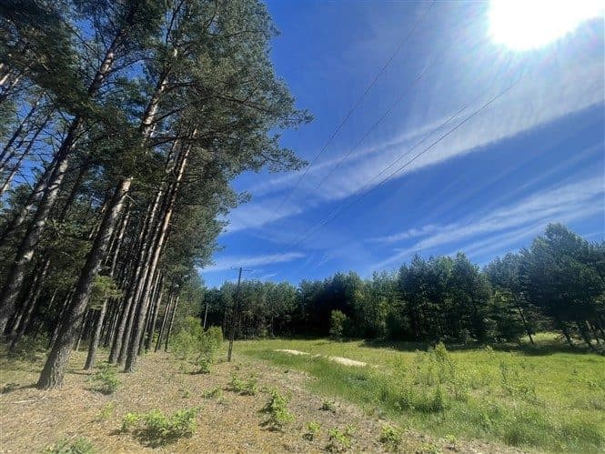 83-240 Osowo Leśne, działka 119/5 – zdjęcie 13 z 17