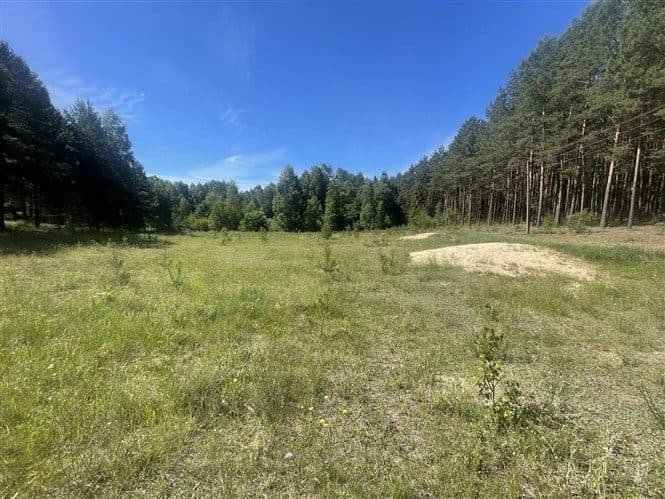 83-240 Osowo Leśne, działka 119/5 – zdjęcie 14 z 17