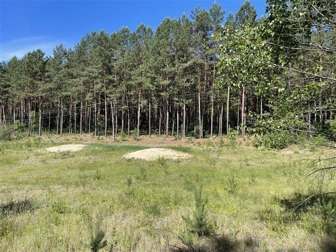 83-240 Osowo Leśne, działka 119/5 – zdjęcie 2 z 17