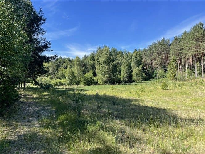 83-240 Osowo Leśne, działka 119/5 – zdjęcie 6 z 17