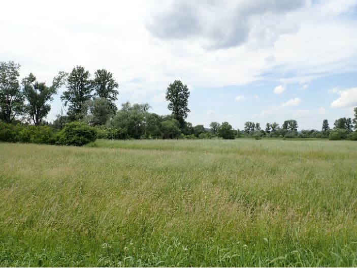 KS1K/00014997/9 - Działka 961 o pow. 0,24 ha – zdjęcie 2 z 2