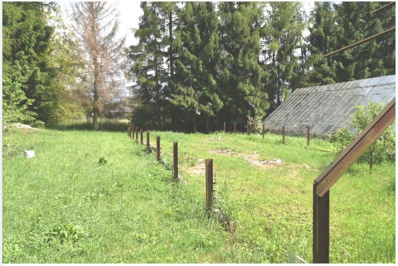 KS1K/00033766/0 - działka numer 1058/5 o pow. 1,2900 ha – zdjęcie 5 z 5