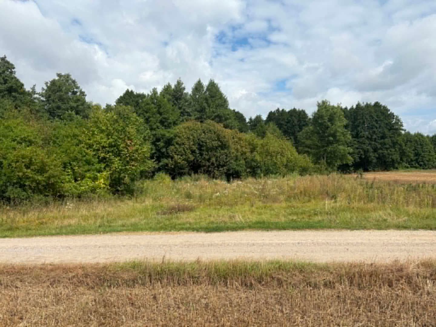 nieruchomość gruntowa niezabudowana nr 365 obręb obr. 0028 Pokrzywnica, ul. Leśna o powierzchni 0,4529[ha] – zdjęcie 2 z 2