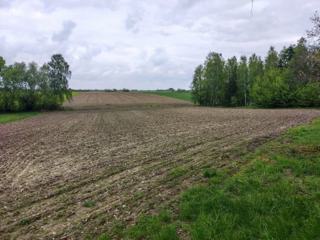 nieruchomość gruntowa zabudowana działki: 10/4, 10/5, 10/6 – zdjęcie 8 z 11