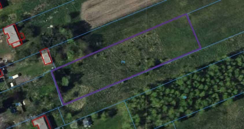 niezabudowana nieruchomość gruntowa położona w miejscowości Dzierzgów, gmina Nieborów, działka nr 275 o pow. 0,3000 ha, jednostka ewiden. 1005092, obręb 0007 (brak urządzonej księgi wieczystej) - udział 1/6 w nieruchomości – zdjęcie 2 z 2