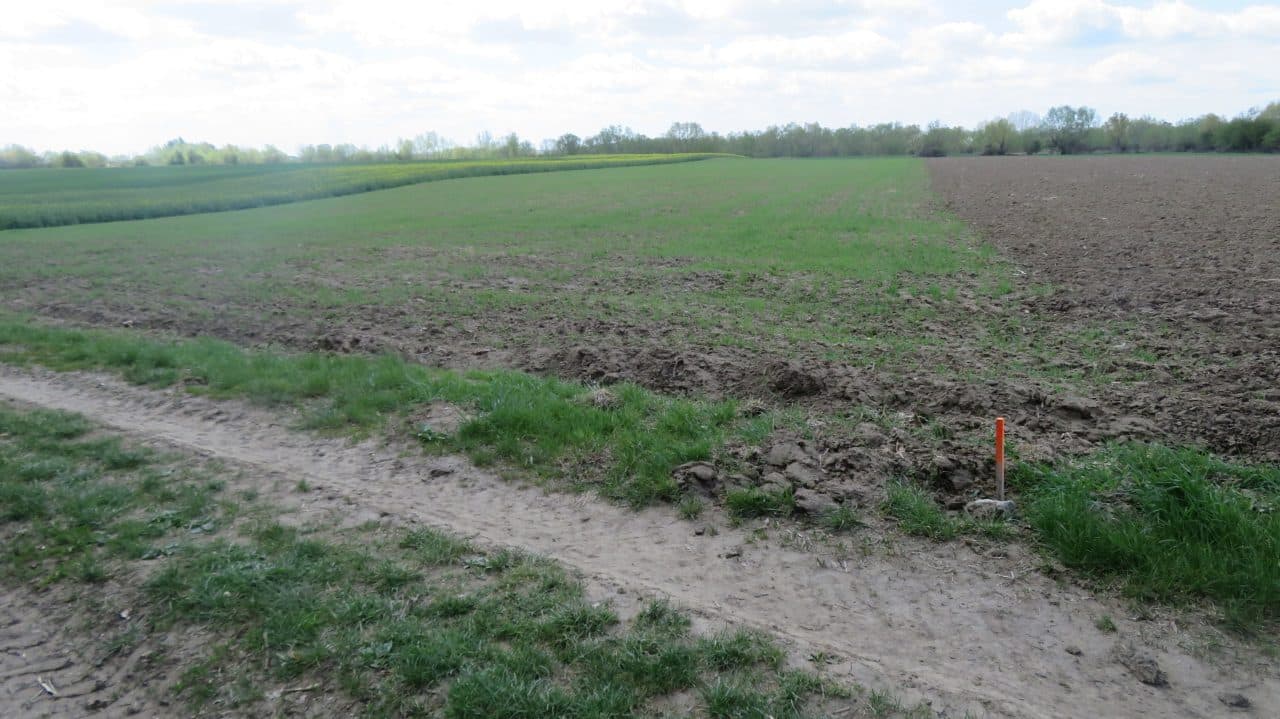 Działka nr 1888 obręb Wiązownica