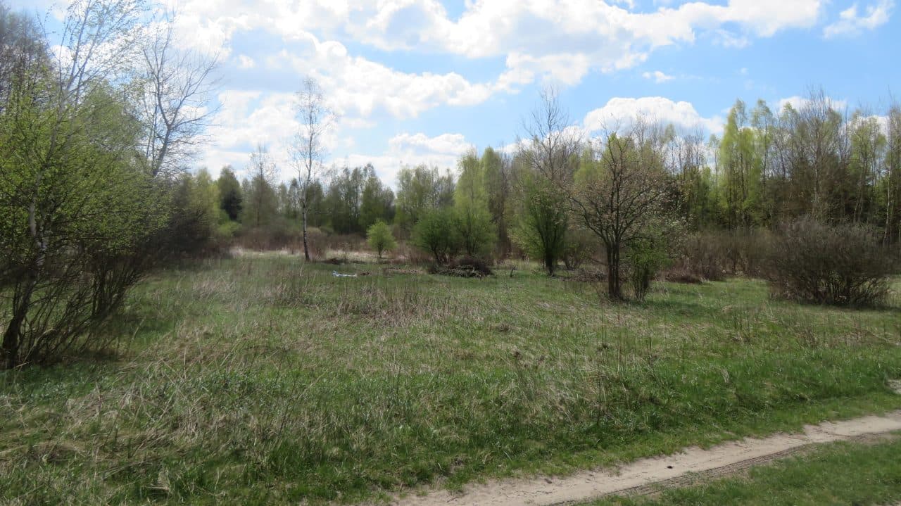 Działka nr 175 obręb Wiązownica