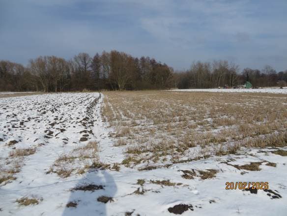 Działka numer 332/4 – zdjęcie 3 z 14