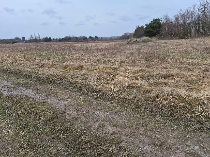 Nieruchomość składająca się z działki ewid. nr 1392 o pow. 1,4270 ha poł. Grzybów, gm. Staszów.