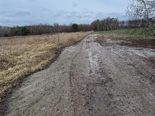 Nieruchomość składająca się z działki ewid. nr 1392 o pow. 1,4270 ha poł. Grzybów, gm. Staszów. – zdjęcie 2 z 4