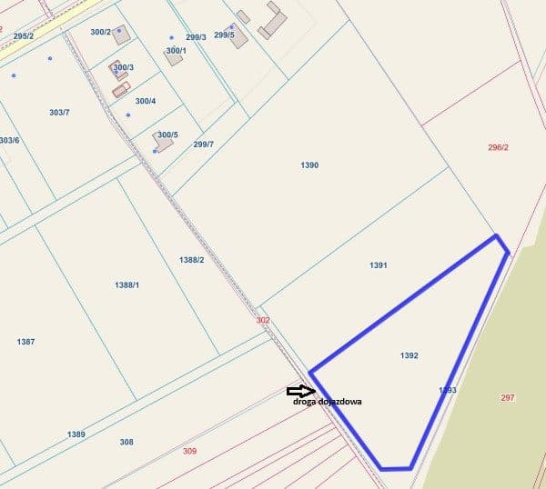 Nieruchomość składająca się z działki ewid. nr 1392 o pow. 1,4270 ha poł. Grzybów, gm. Staszów. – zdjęcie 3 z 4