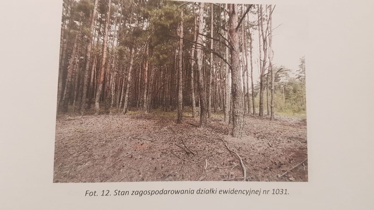 działka gruntu nr 1031