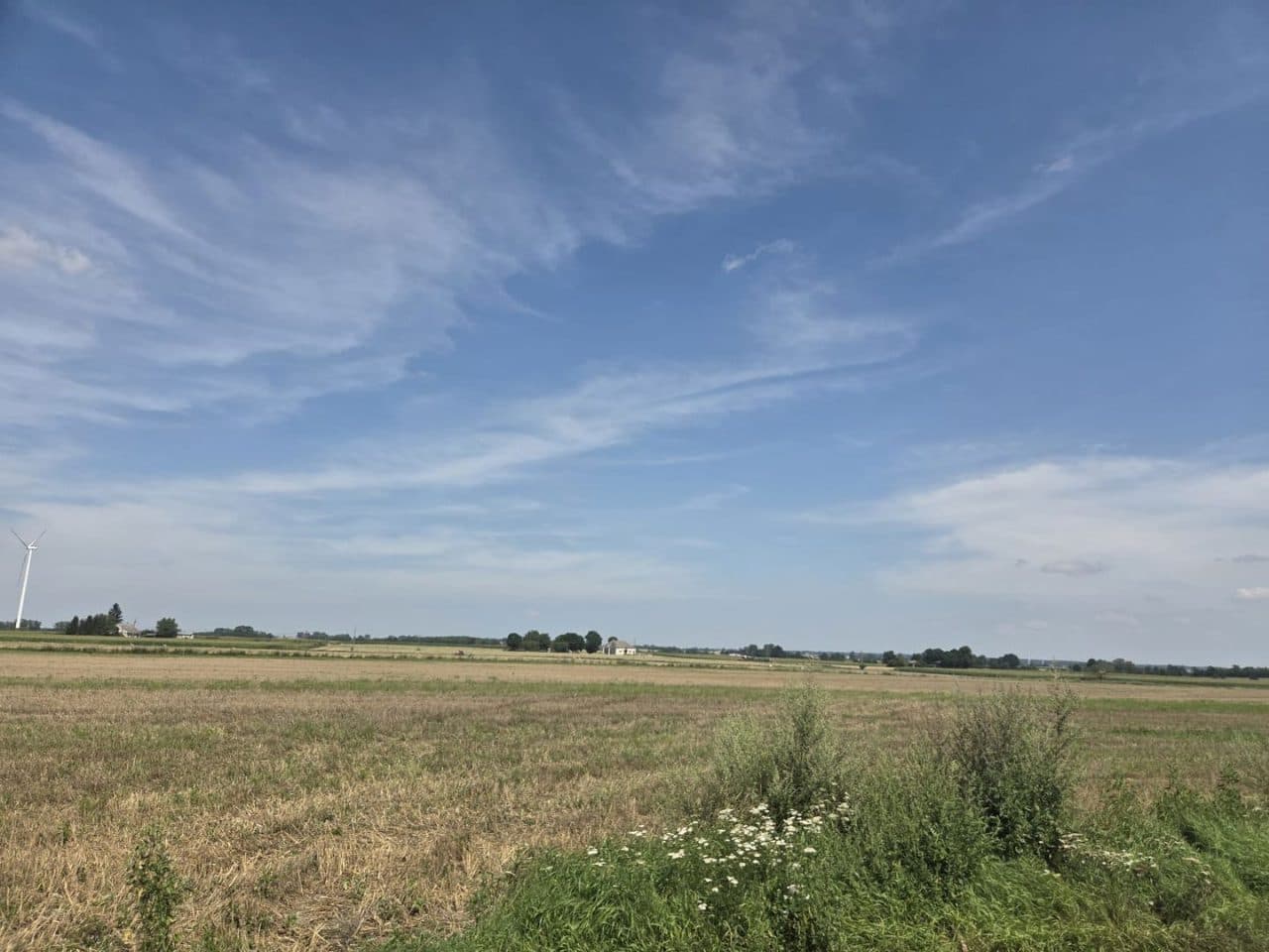 Niezabudowana dz. nr 88 o pow. 5,0300 ha położona w Łobdowie, gm. Dębowa Łąka